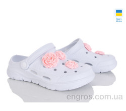 Кроксы Golden Lion